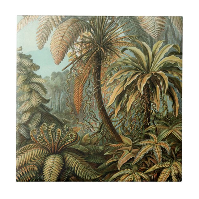 Ormbunks Palmträd Antik Botanisk Ormbunks Konst Kakelplatta (Framsidan)