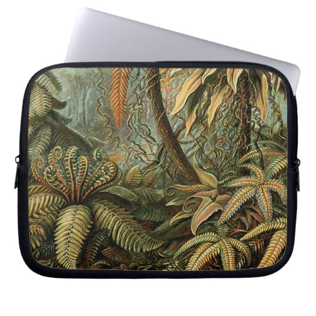 Ormbunks Palmträd Antik Botanisk Ormbunks Konst Laptop Fodral (Framsidan)