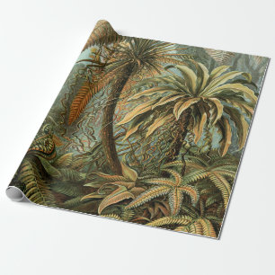 Ormbunks Palmträd Antik Botanisk Ormbunks Konst Presentpapper
