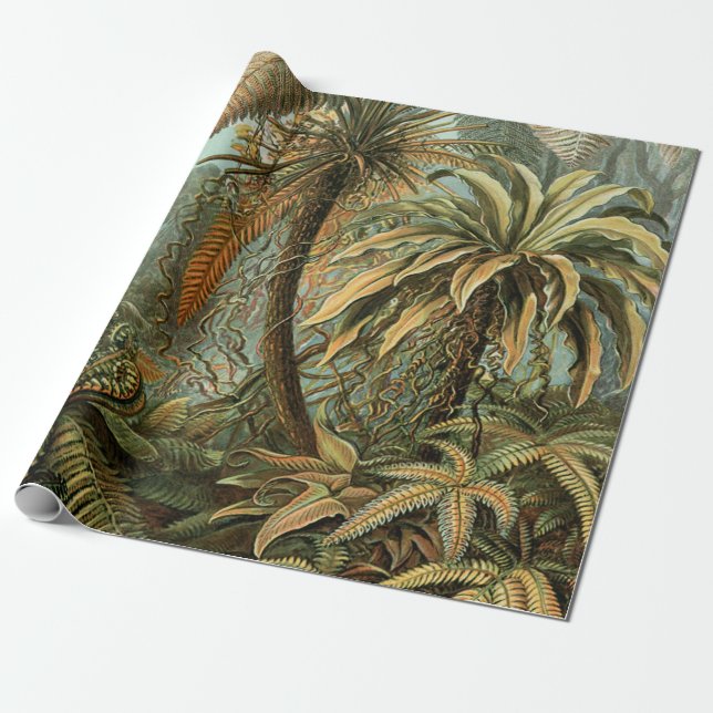 Ormbunks Palmträd Antik Botanisk Ormbunks Konst Presentpapper (Utrullad)