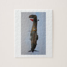 Ormen Fighter-flygplan WWII-militären flygplan