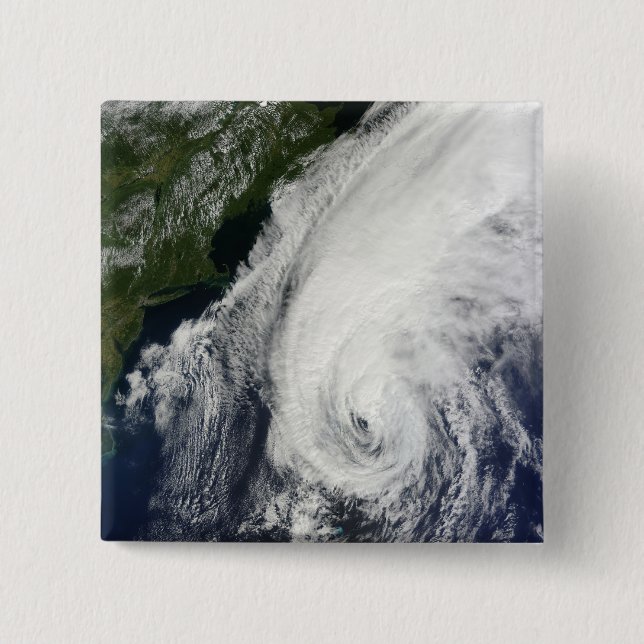 Ormen Igor Knapp (Framsida)