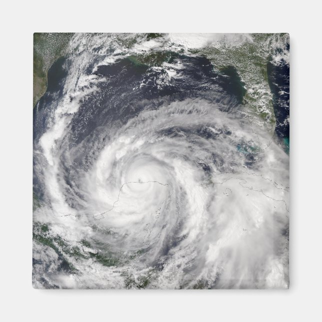 Ormen Isidore Magnet (Framsidan)