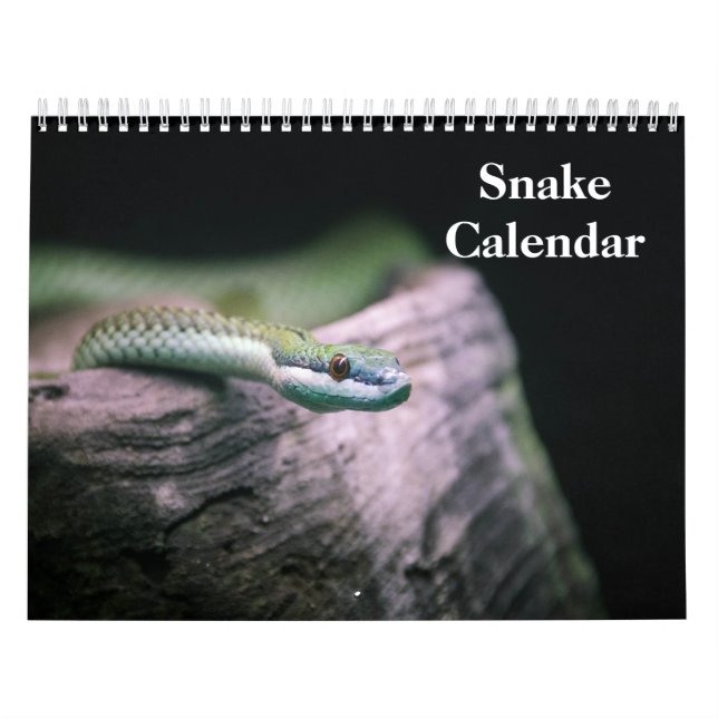 Ormkalender 2026 kalender (Omslag)