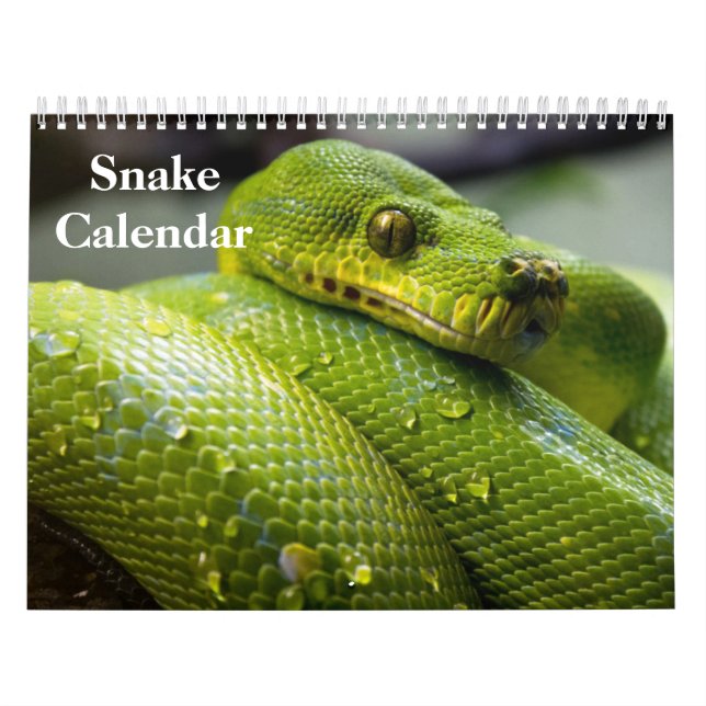 Ormkalender 2027 kalender (Omslag)