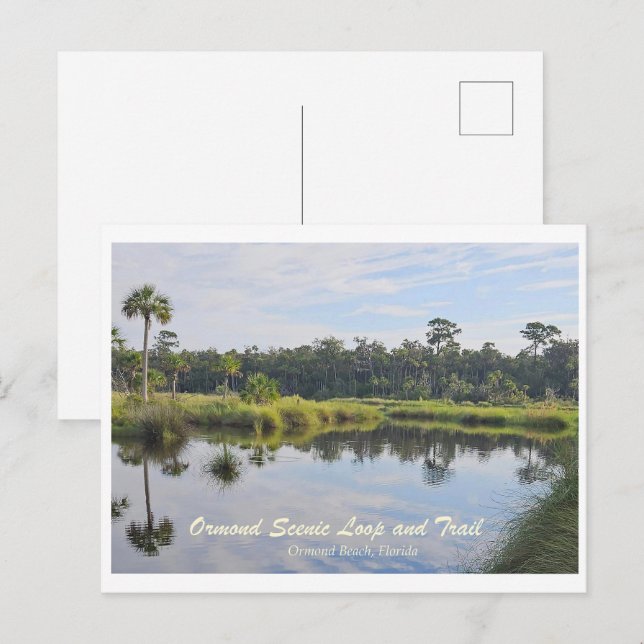 Ormond Scenia Loop and Trail Postcard Vykort (Fram/baksida)