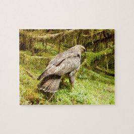 Ormvråk på jakt efter larver Skogs vilda djur Natu Pussel