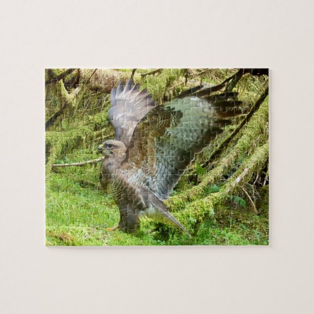 Ormvråk Sprider Vingar Skogsscen Pussel (Horisontell)