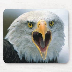 Örn #2-Mousepad Musmatta