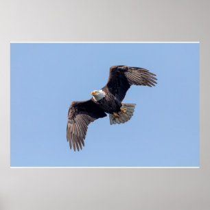 örn 36x24 i flyg poster