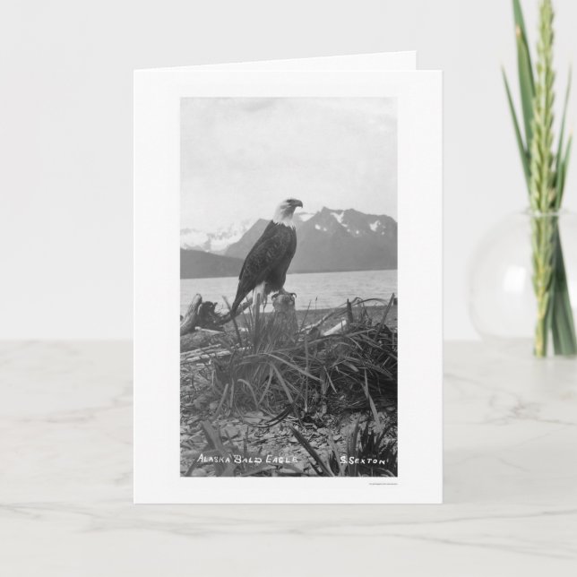 Örn Alaska 1920 Kort (Framsida)