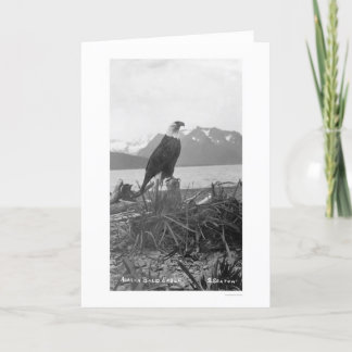 Örn Alaska 1920 Kort