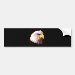 Örn American Eagle Bildekal