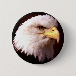 Örn American Eagle Knapp