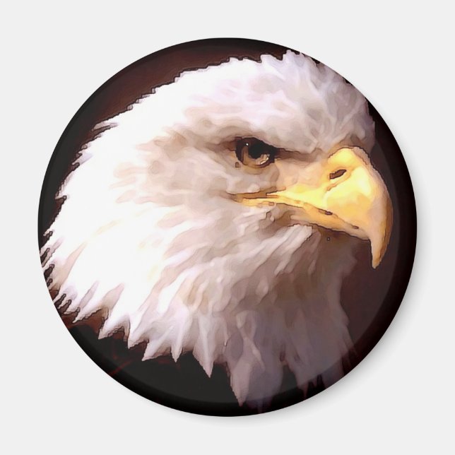 Örn American Eagle Magnet (Framsidan)