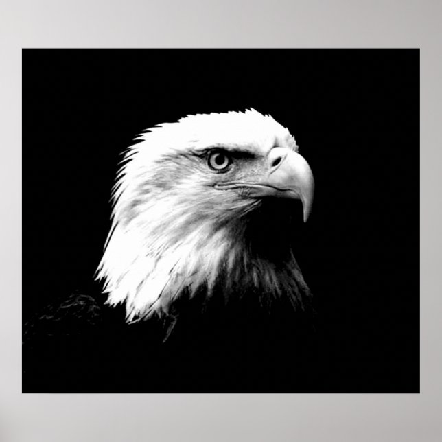 Örn American Eagle Poster Skriv ut (Framsidan)