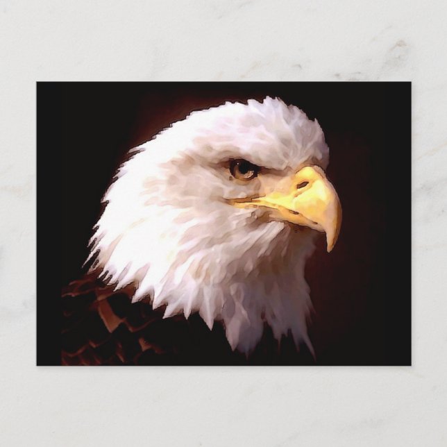 Örn American Eagle Vykort (Framsida)