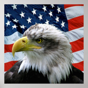 Örn American Flagga Print Poster