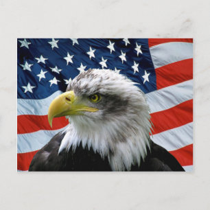 Örn American Flagga Vykort