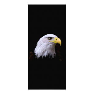 Örn - Amerikanska örnkort Reklamkort