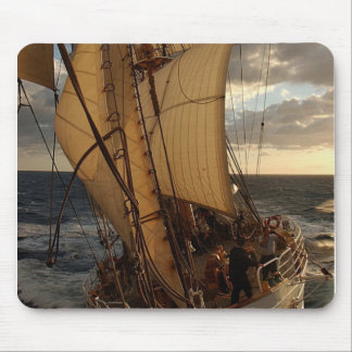 Örn av havet musmatta