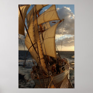 Örn av havet poster