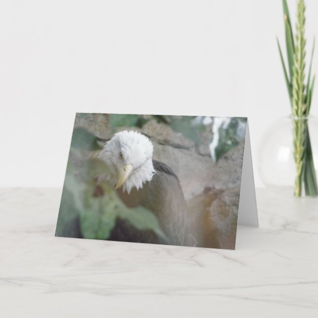 Örn Bird Tack, observera Kort (Framsida)