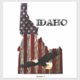 ÖRN BURNT WOOD - IDAHO PATRIOT CLR KLISTERMÄRKEN