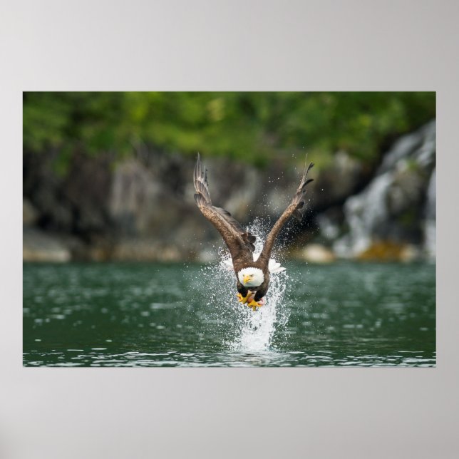 Örn den stora fångsten poster (Framsidan)