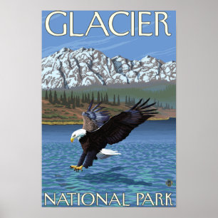 Örn Diving - Glacier National Park, MT Poster