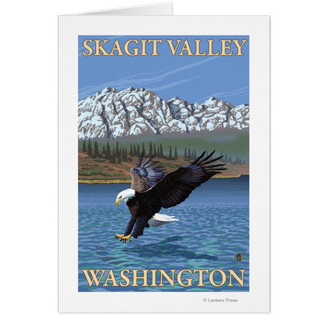 Örn Diving - Skagit Valley, Washington Hälsningskort (Framsidan)