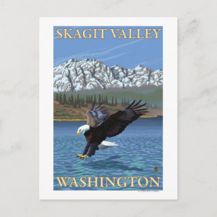 örn Diving - Skagit Valley, Washington Vykort