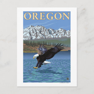 örn Diving-Vintage resor Poster Vykort