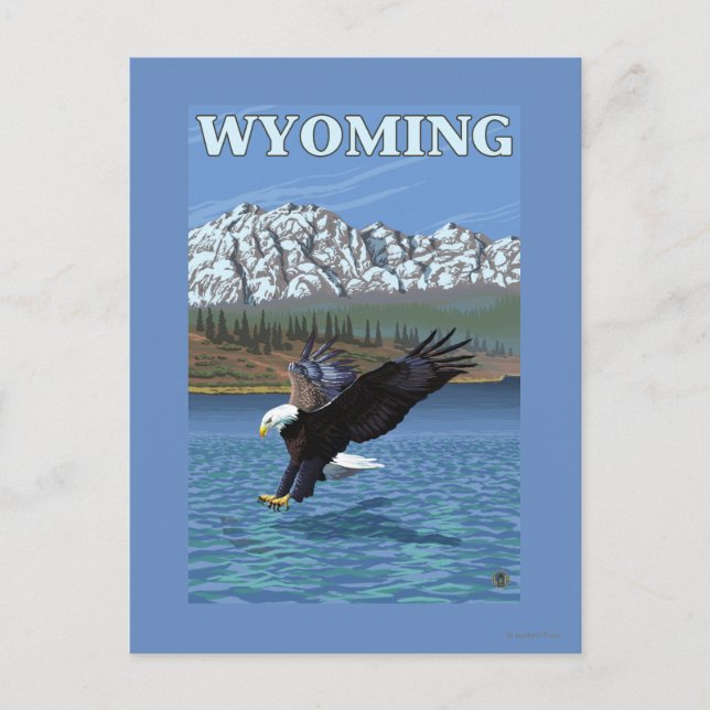 Örn Diving - Wyoming Vykort (Framsida)