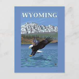 Örn Diving - Wyoming Vykort