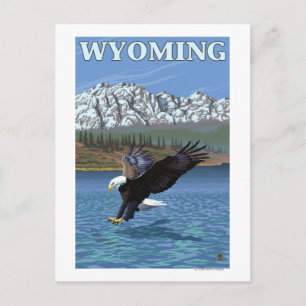 Örn Diving - Wyoming Vykort
