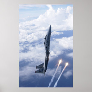 Örn för flygvapen F-15 Poster