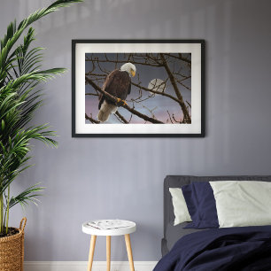 Örn Full Moon Majestic Eagles Poster