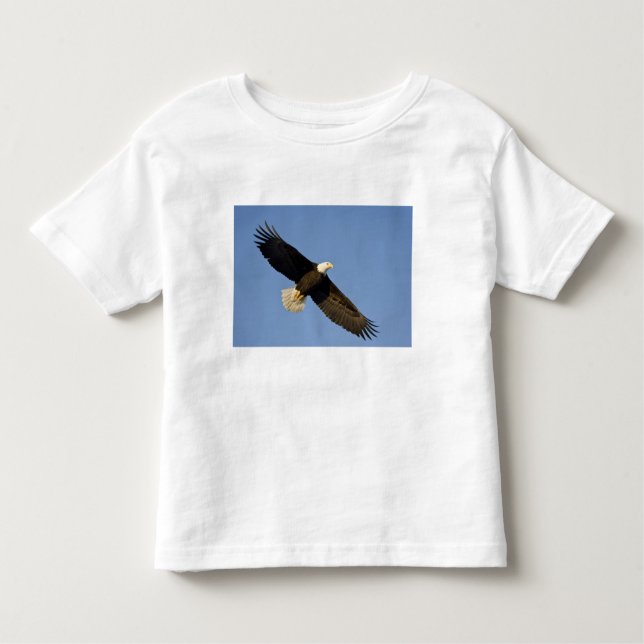 Örn, Haliaeetus leucocephalus, Homer, 4 T Shirt (Framsida)