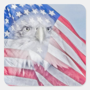 Örn Head & American Flagga Fyrkantigt Klistermärke