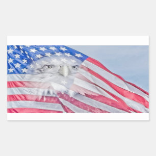 Örn Head & American Flagga Rektangulärt Klistermärke