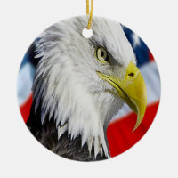 Örn head och en amerikansk flagga