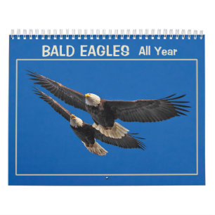 Örn hela året kalender