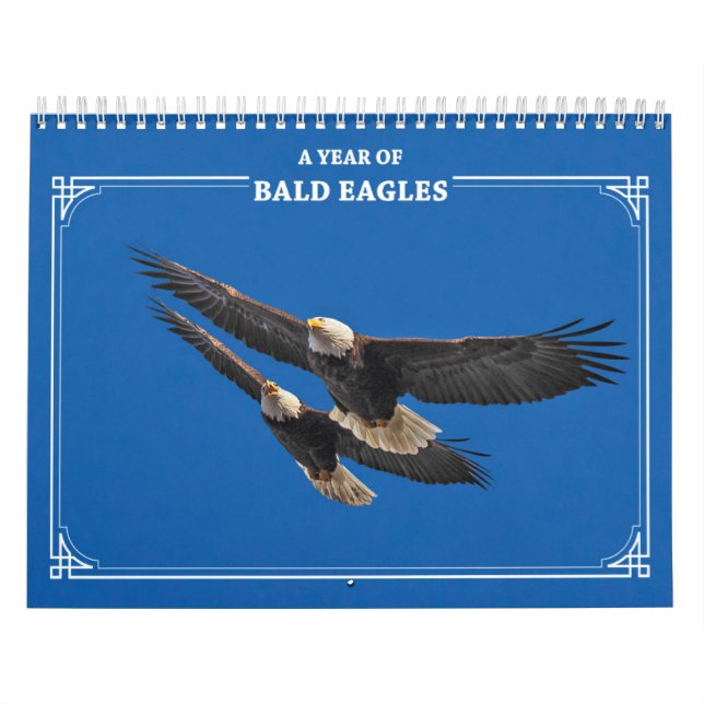 Örn hela året kalender (Omslag)