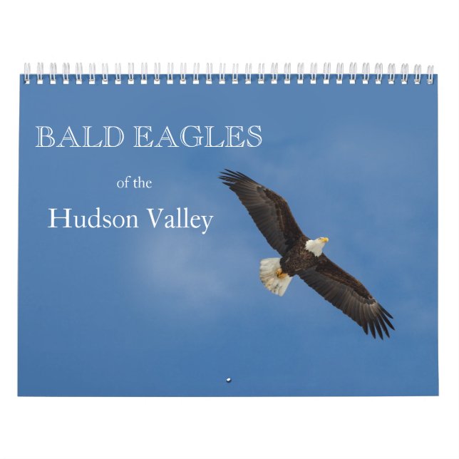 Örn i Hudson Valley Calendar Kalender (Omslag)
