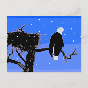 Örn in Winter - Original Wildlife Art Vykort