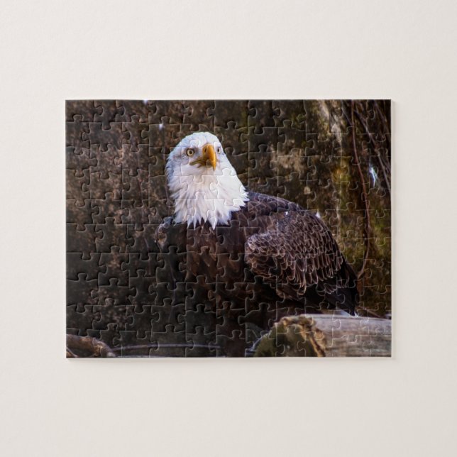 Örn Jigszle Puzzle Pussel (Horisontell)