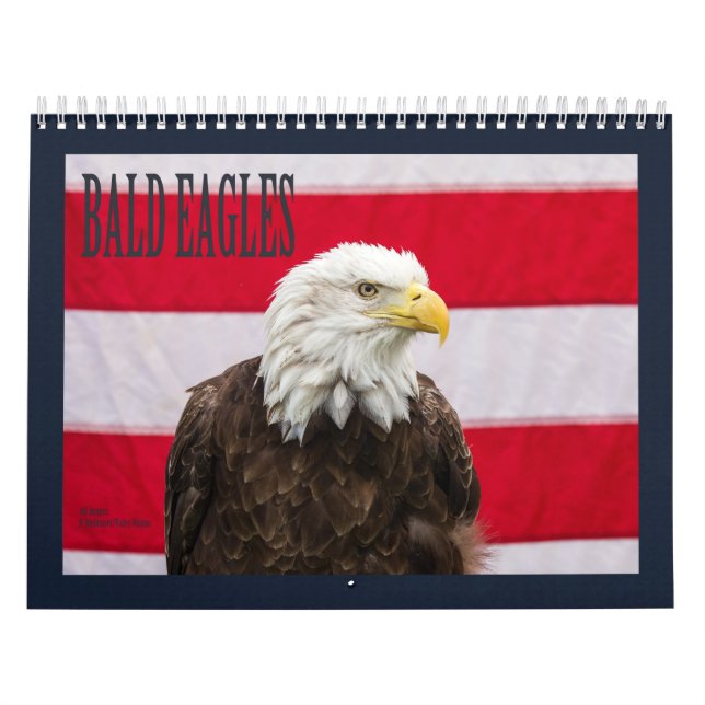 Örn Kalender (Omslag)