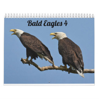ÖRN $ KALENDER