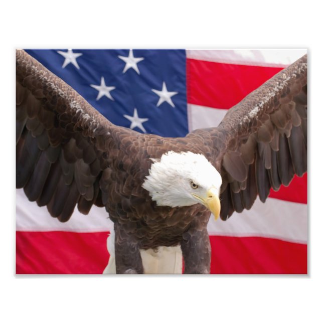 Örn med Amerikanska Flagga Puzzle Fototryck (Framsidan)